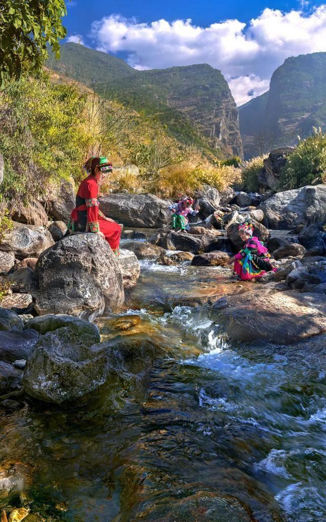 缤纷水果茶无敌版